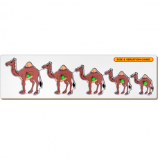Camels Seriation